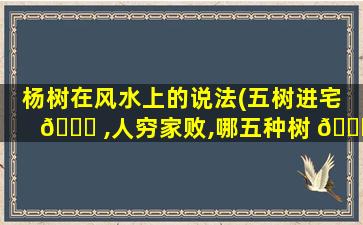 杨树在风水上的说法(五树进宅 🕊 ,人穷家败,哪五种树 🕊 )